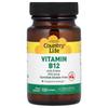 Vitamin B12 with Folic Acid, Cherry, 100 Lozenges