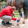 6 скоростей 35 зубьев беспроводной портативный фермерский клипер для стрижки шерсти овец, инструмент для стрижки, электрическая машинка для стрижки овец и коз