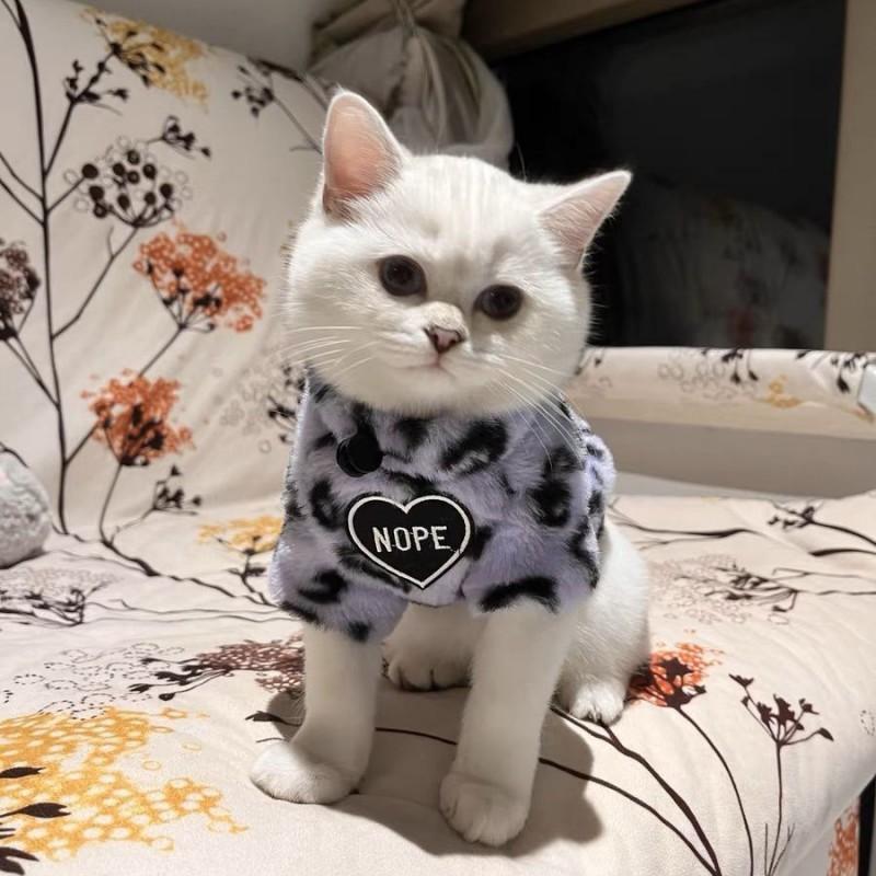 Warm Winter Cat Sweater Hoodie Kittens Adult Cats - Fleece Lined Thick Pet Clothing In Leopard Print