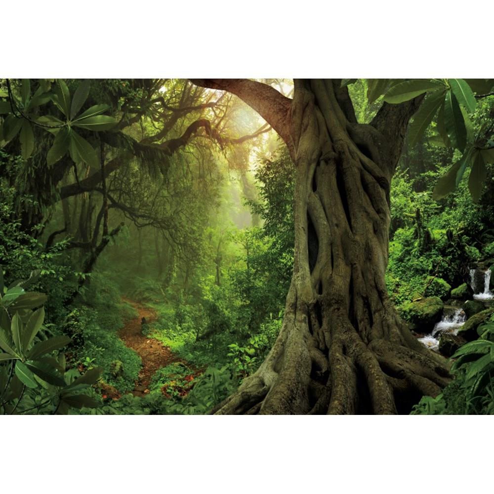 Spring Forest Backdrop Tropical Jungle Rainforest Backdrops for Photography Camping Adventure Birthday Background Photo Studio