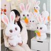 Plush Moon Rabbit Toy Carrot Cute Cartoon Girl Holiday Doll Valentine Gift Day