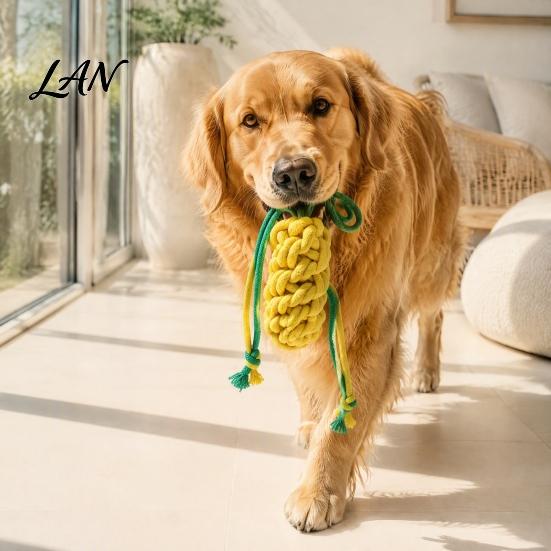 Fun Fruit Shaped Fetch Toys Squeaky Cotton Rope Dog Chew Toy for Aggressive Chewers, Vegetable Puppy Teething Soft Dogs Training Toy, Interactive
