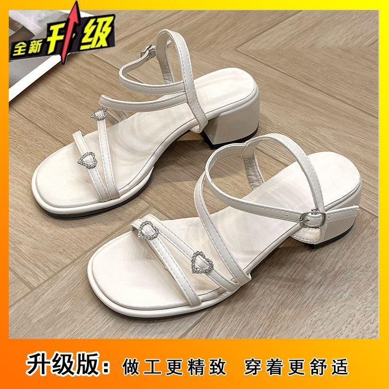 Exquisite and Beautiful Fairy Style High-end Thick-heeled Sandals Female 2025 New Fashion Versatile Skirt Women's Sandals