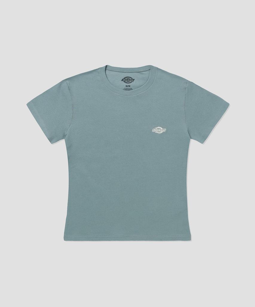 DICKIES Gladeville T-Shirt Stormy Sea