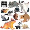 Children's Cognitive Rodent Simulation Toy: Chipmunk, Marmot, Squirrel, Guinea Pig Models