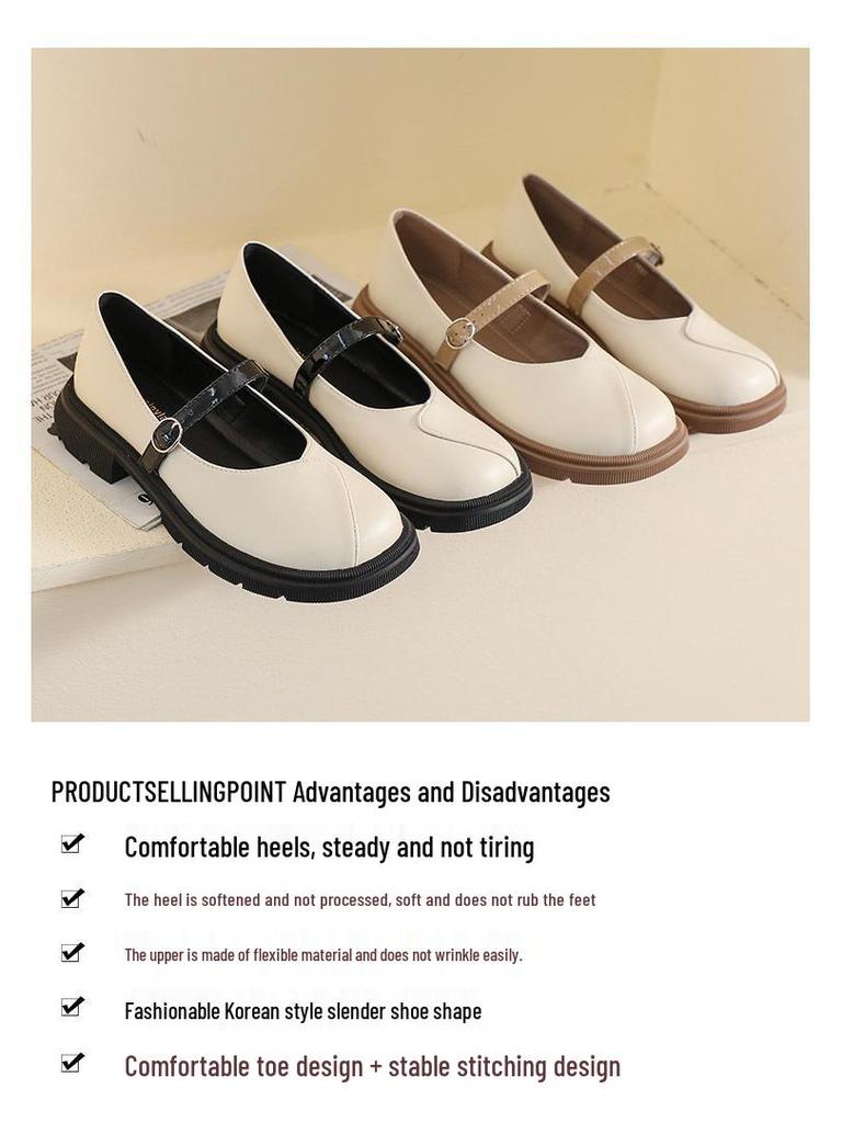 Women's 2023 Thick-Soled Mary Jane Loafers - Spring/Autumn Round-Toe Chunky Heel, Soft Sole