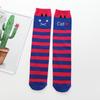 Girls' Cute Cartoon Cotton Knee-High Socks - Japanese Style for Spring & Autumn