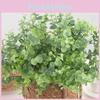 Eucalyptus Globulus Artificial Plant For Wedding Backdrops And Photography
