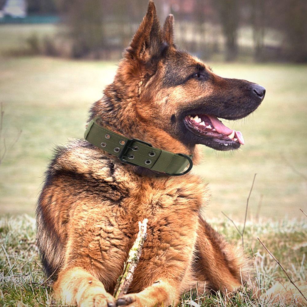 Household Quick Release Shepherd Training Rope Tactical Dogs Collar Dog Accessories Pets Collars