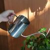 Dulton Stainless Steel DripWater Pot, 1000ml, CoffeeWater Pitcher, Coffee Utensils, Kitchen, Planter, Coffee Jug, Coffee Maker ...