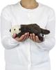 Carolata Sea Otter Plush Toy Realistic Animal Toy Doll Gift Present Birthday Christmas Present (Nestling Series/Soft Touch) (Twice Tested) /