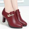 Comfort Deep Mouth Solid Single Shoes  Spring  Autumn New Thick Heel Fashion All-match Pointed Side Zipper Leather Shoes