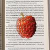 Durable Acrylic Bookmark Simulation Fruit Transparent Book Reading Marker Clear Book Pages Mark Tool Reading Gift