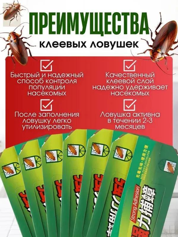 Glue trap for cockroaches with bait, 20pcs, an effective remedy for cockroaches, insects.