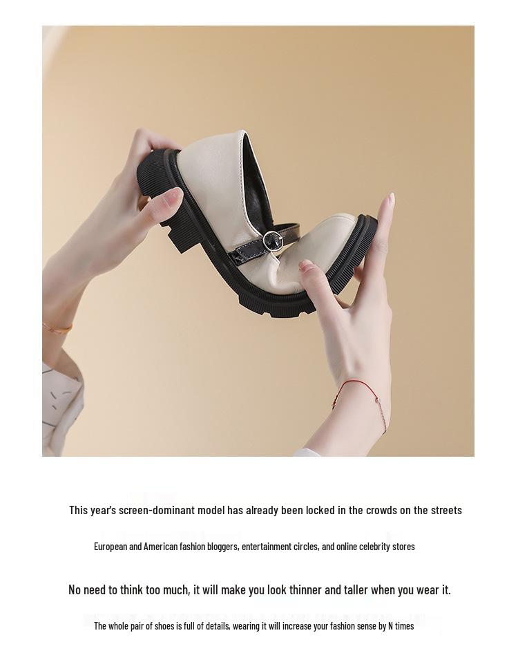 Women's 2023 Thick-Soled Mary Jane Loafers - Spring/Autumn Round-Toe Chunky Heel, Soft Sole