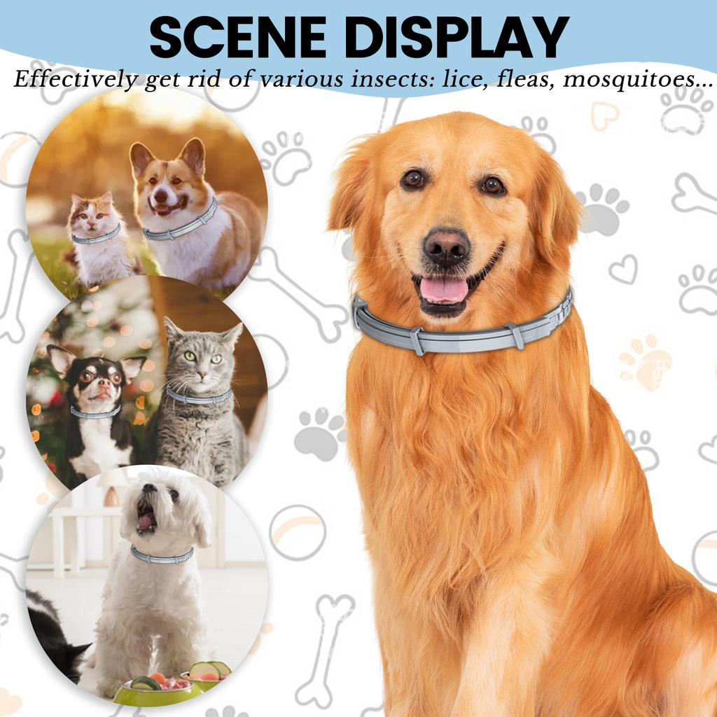 8 Months , Anti-parasite Collar, Anti-flea, Anti-tick, Leishmaniosis,For Small And Medium Dogs