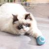 Электрический умный мяч для кошек Игрушки для кошек Автоматически катающийся Интерактивный мяч USB-зарядка Игрушка для домашних животных Дрессировочные мячи для дразнения кошек Жевательные игрушки для кошек