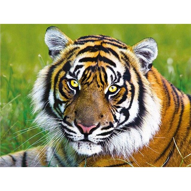 Алмазная картина Тигр 5D Алмазная вышивка с животными, украшение дома, картина, полная круглая алмазная живопись, настенная живопись