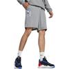 Puma Мужские шорты-шорты Bmw Mms Essential, серые 624164-03