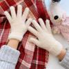 Plush Finger Slipping Gloves for Warm Winter Women's Imitation Rabbit Fur Plus Velvet Thickened Cold Proof Travel Students' Riding Cute Trend