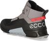 Ecco Biom 2.1 Mountain MID GTX Trekking Shoes (823804) Grey/black