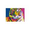 Solid Wood Frame Watercolor Lion Tiger Cat Canvas Painting Abstract Animals Pop Graffiti Posters and Prints Nordic Pictures for Living Room Decor