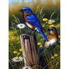 DIY 5D алмазная живопись птицы полная дрель круглая Алмазная вышивка животных наборы крестиков подарок мозаика настенное искусство домашний декор
