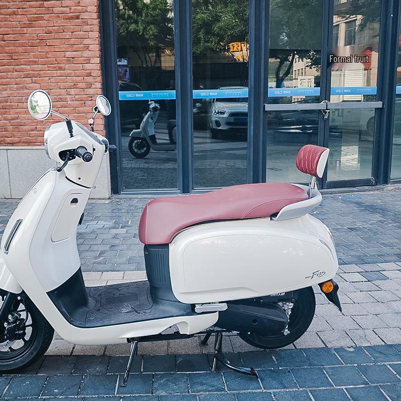 Совместимая спинка со встроенным креплением для Wuyang-Honda NW F125