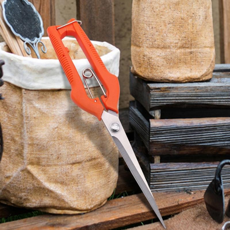 Овощная обрезка Обрезка фруктов Садовые ножницы Легкие Цветочные ножницы Для легкой работы Детальный уход за растениями