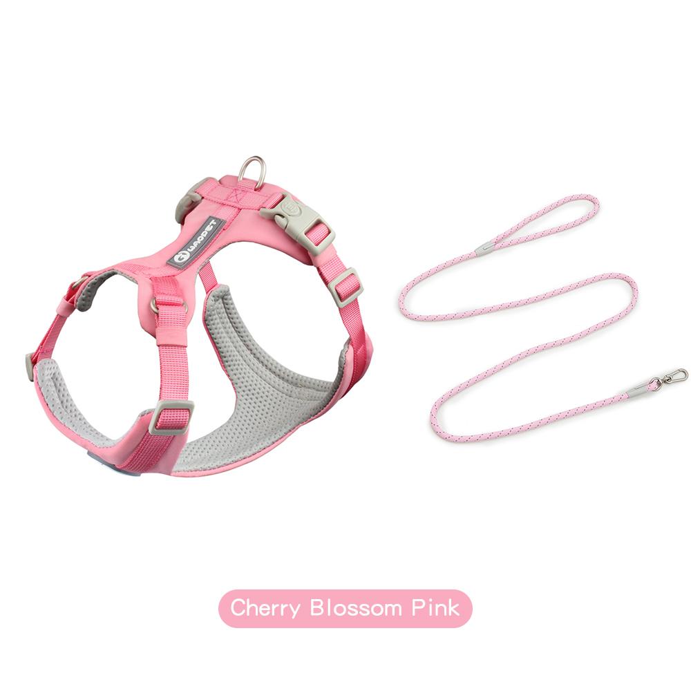 Шлейки для собак, набор с поводками, подарки для домашних животных, собак, кошек, жилет для маленьких, средних и больших собак, набор веревок для дрессировки на открытом воздухе, товары для домашних животных