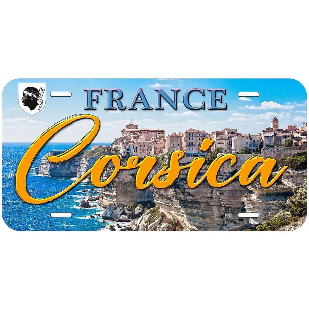 Vintage License Plates Decoration Signs Vintage New York Zurich Dublin Athens City Tags Metal Automotive Signs For Car Front