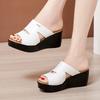 Slippers Women Summer Ethnic Style Wedge Peep Toe Thick Bottom Women's Shoes Slippers