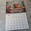 Highland Cow Calendar 2026 Scottish Cow Wall Calendar Hanging Monthly Planner Animal Calendar for Farmhouse Home Wall Decor