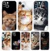 Роскошный Чехол Для Телефона Для iPhone 15 14 13 12 11 Pro Max XS X XR 7 8 Plus Мягкий Прозрачный Ударопрочный Чехол Мультяшный Милый Фон с Кошками