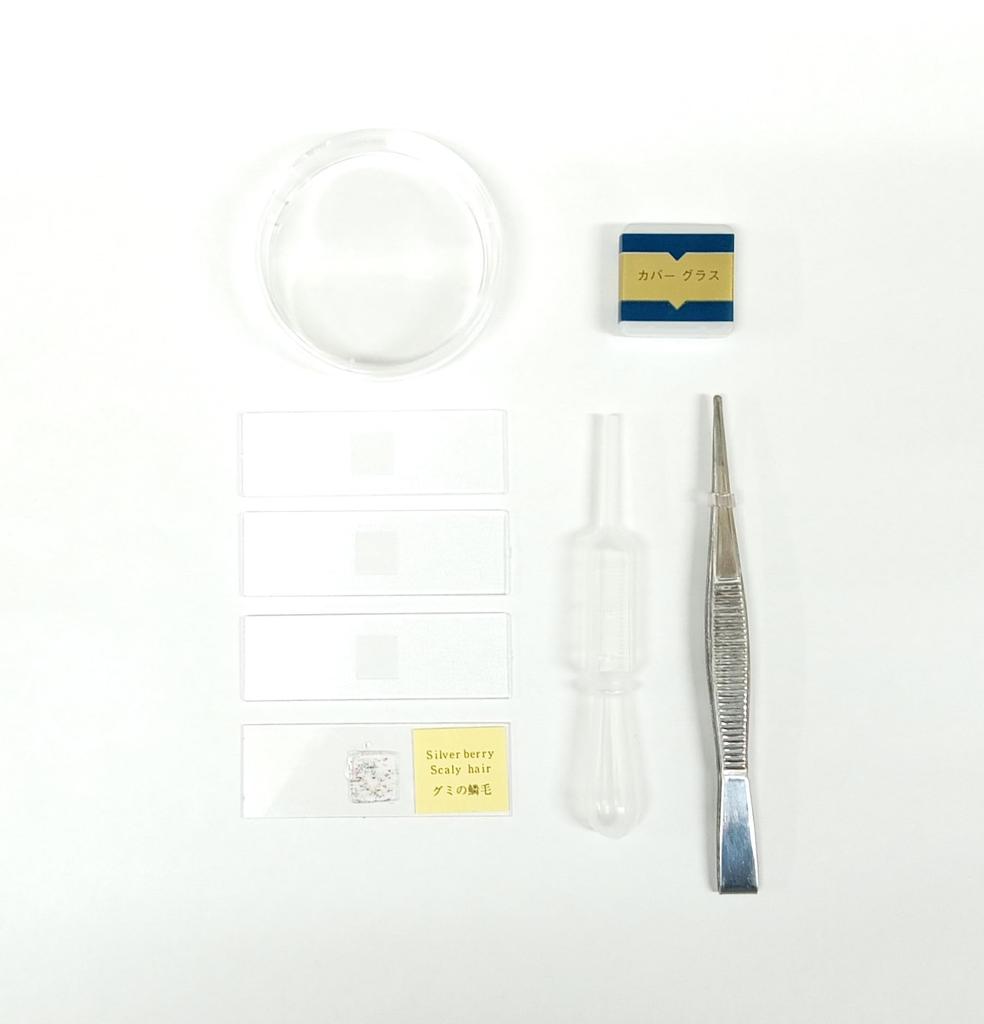 Standard Microscope Set 40x 750x Educational Microscope for and High School Birthday Graduation Independent Made In Japan SO80114, - Magnification,