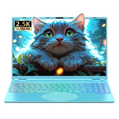Ноутбук Office 11 FHD IPS Тихий процессор Celeron N95 16 ГБ DDR4 2 USB SSD Лицо Клавиатура с подсветкой и мышь [MS 2019/Win Pro] 16-дюймовый 2.5K (2560x1600) Дисплей,