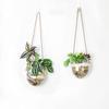 Glass Hydroponic Hanging Vase Transparent Flower Pot Flower Arrangement Bottle  Balcony