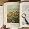 [USED] Rare American Vintage Antique Wild Plant Encyclopedia