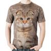 Забавная новая 3D милая футболка с принтом животных шотландской вислоухой кошки футболки с графическим принтом шотландской кошки модные футболки с короткими рукавами для любителей кошек