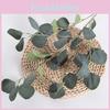 Artificial Eucalyptus Leaves Robusta Smith For Wedding Decor Party
