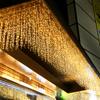 4M Droop 0.4-0.6m 96 LED Curtain Icicle String Lights EU Plug AC 220V Twinkle Fairy Garland For Outdoor Indoor Christmas Wedding Decoration
