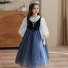 Girls' Elsa Princess Long-Sleeve Mesh Dress for Autumn/Winter - Children's Halloween Costume