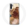 Case - Huawei - P30 Pro - Brown - American Pit Bull Terrier - Rigid