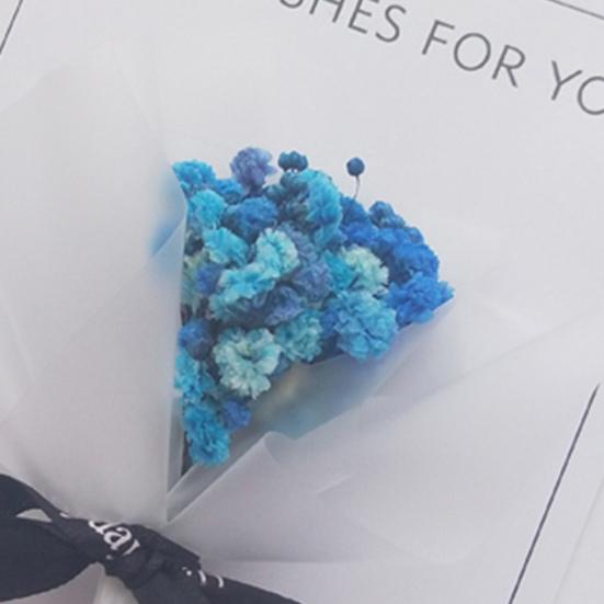 Красота высушенные цветочные пачки Нераздражающий мини яркий внешний вид