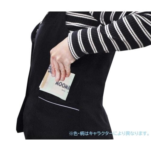 Skater Handkerchief 30x30cm Dinosaur Picture Book HKC30-A