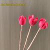 Zen Bouquet: Preserved Natural Cotton and Wheat Ear Flower Arrangement for Living Room Decor