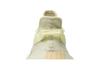 Мужские кроссовки adidas Yeezy Boost 350 V2 Butter Butter/Butter/Butter