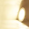 LED Dual Color Adjustable Recessed Ceiling Panel Light
