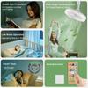 with Lights and Remote Modern Ceiling Fans 10.24inch Electric Fan LED Light Fan  Living Room