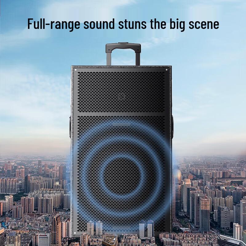 Портативная уличная Bluetooth-колонка Newmine N550 12 дюймов (Китайская версия)